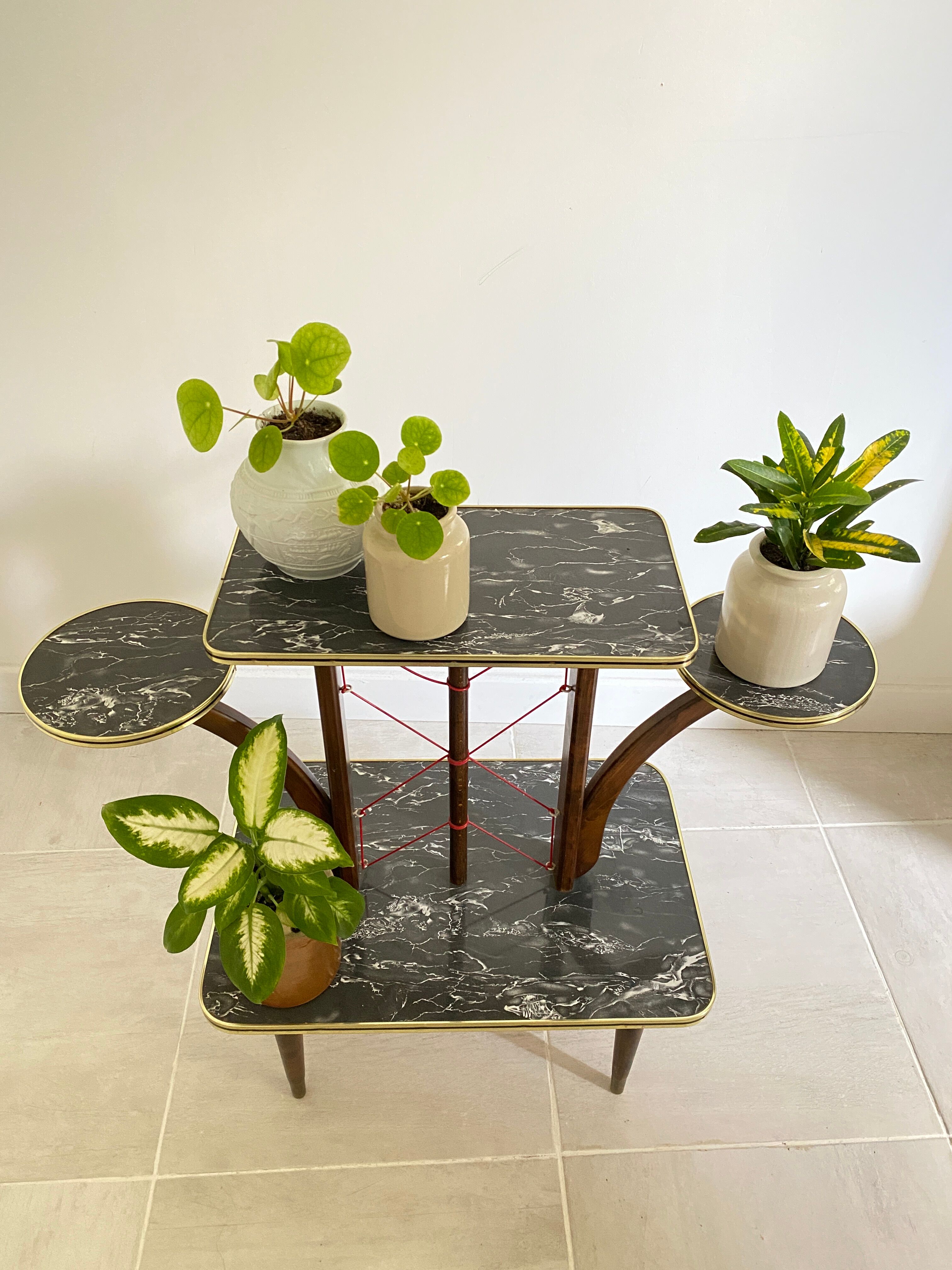Plant holder