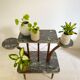 Plant holder