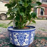 Cache pot Gien