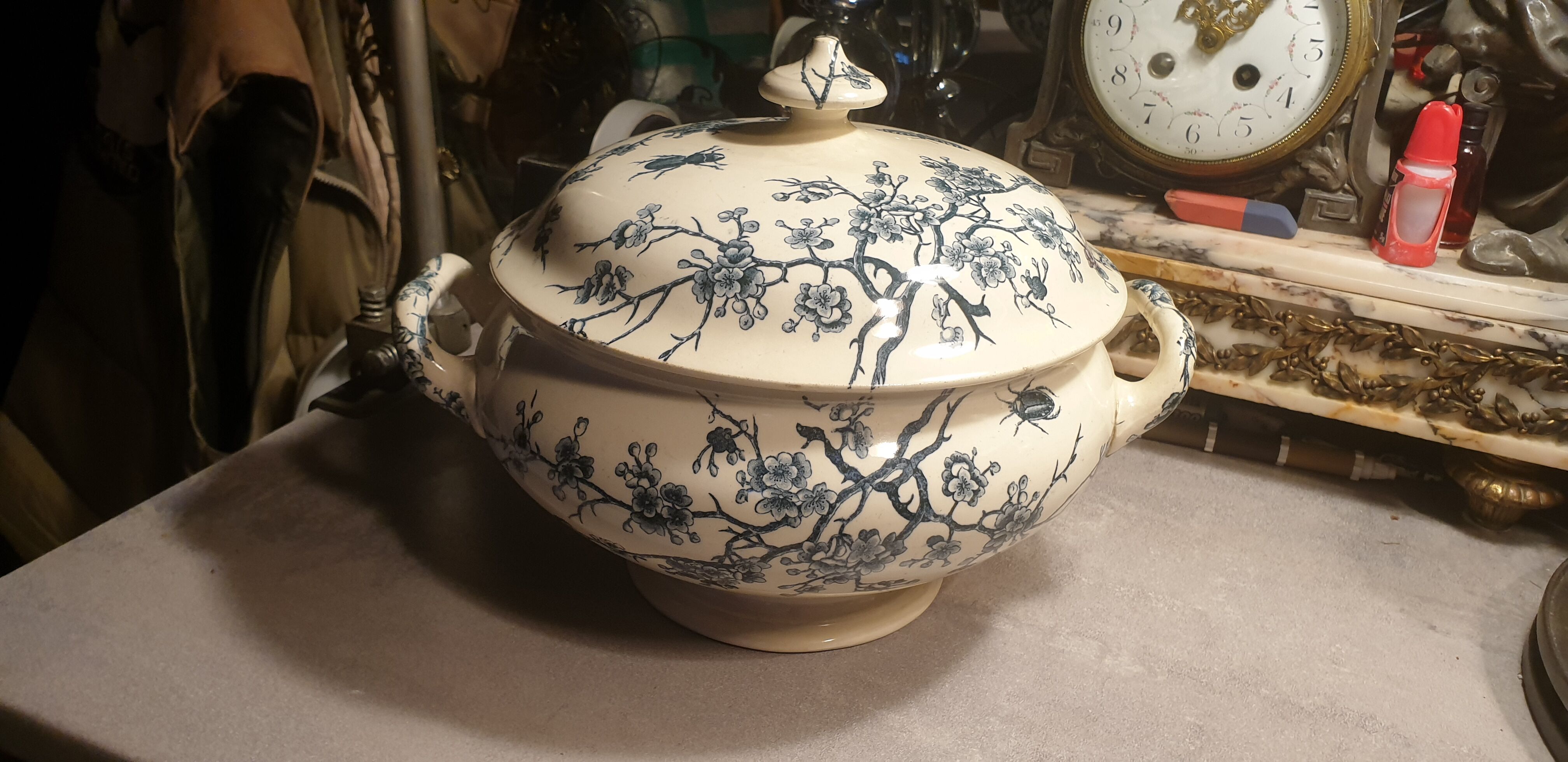 Insect Shoemaker XIXth