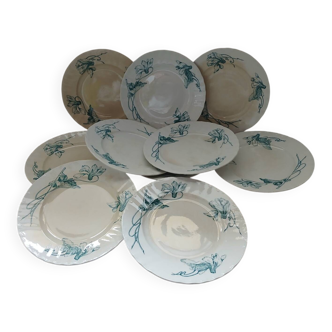 10 antique ironstone dinner plates