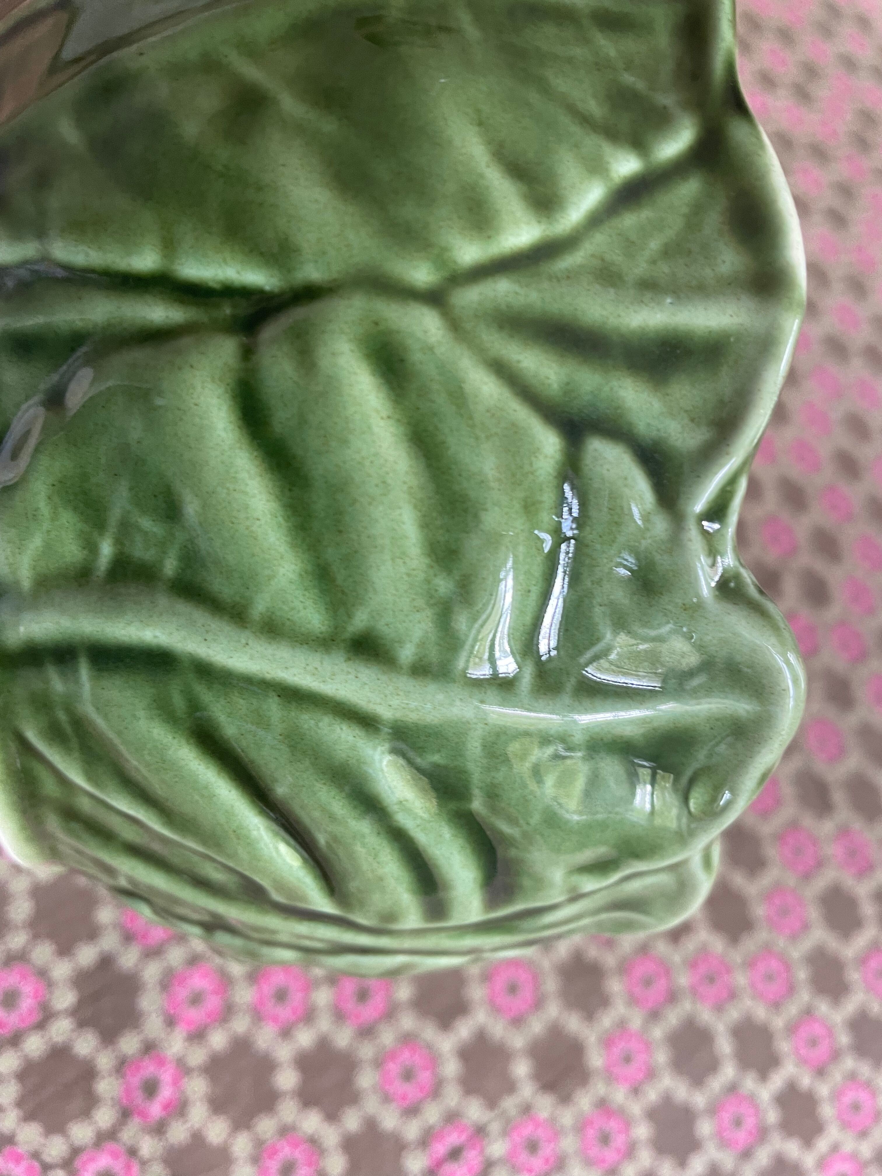 Cabbage leaf slurry