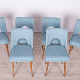 Polish Shell Chairs, 1960s, Set of 6