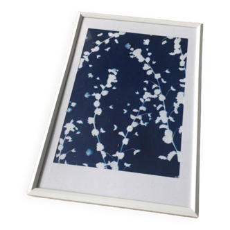 Tirage cyanotype a4 fleurs veronica & cadre blanc