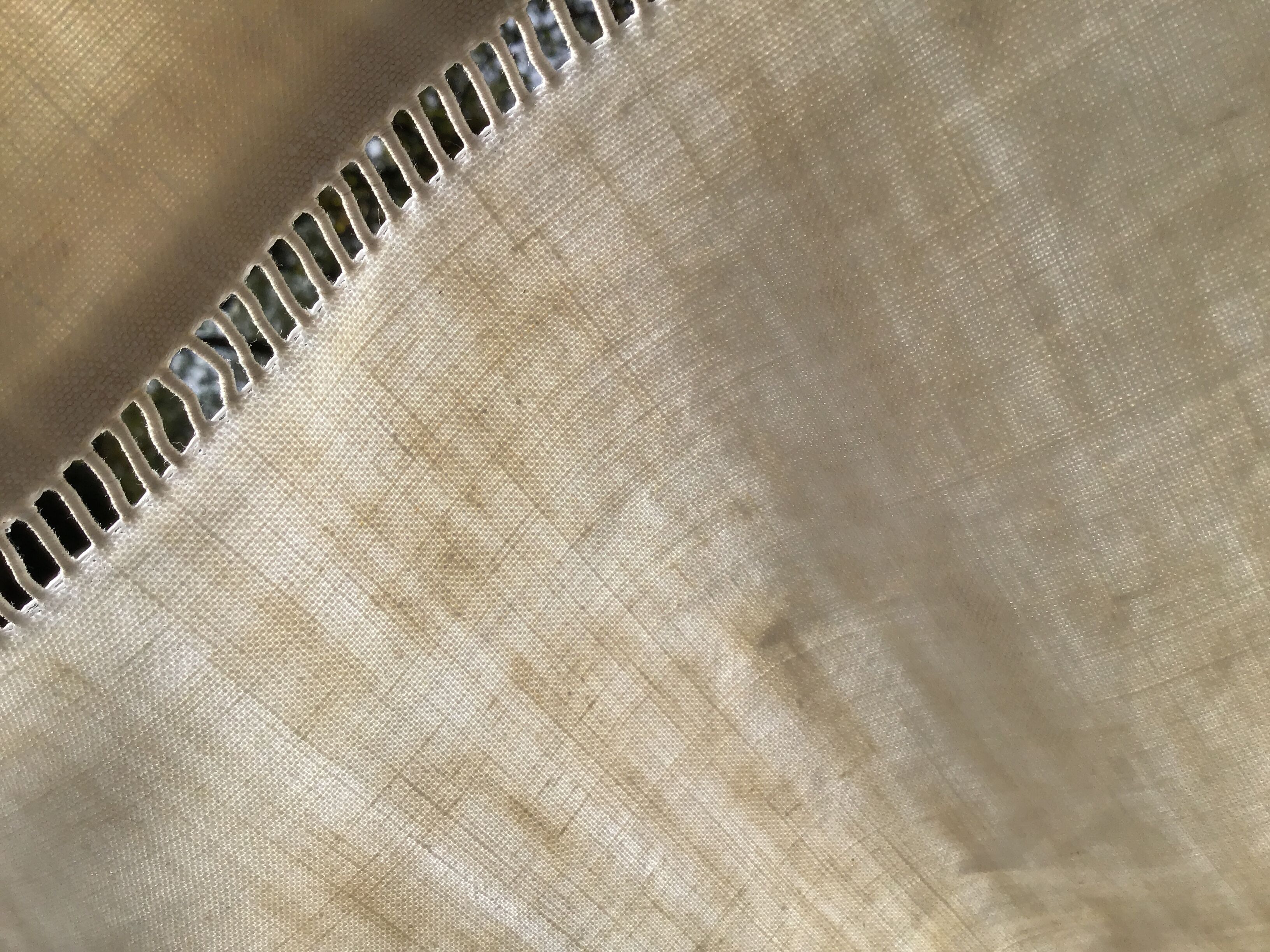 EL drap embroidered hand flowers and day ladder central couture