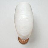 Tiger nautilus shell on a wooden stand, 19th century, Cabinet of curiosities