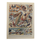 Planche illustrée sur les oiseaux (de basse-cour et volière) - 1930