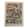 Planche illustrée sur les oiseaux (de basse-cour et volière) - 1930