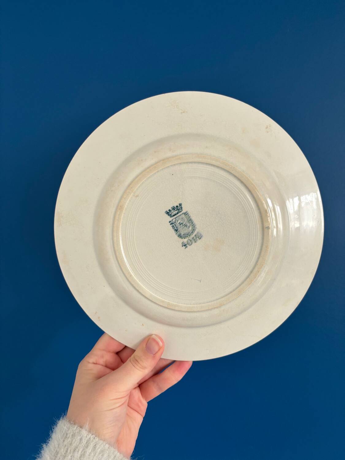 Set of 6 Antique Ironstone Plates from St Amand – Beautiful Vintage Patina