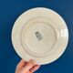 Lot de 6 Assiettes Anciennes en Terre de Fer St Amand – Jolie Patine Vintag
