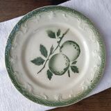 Plate Exton