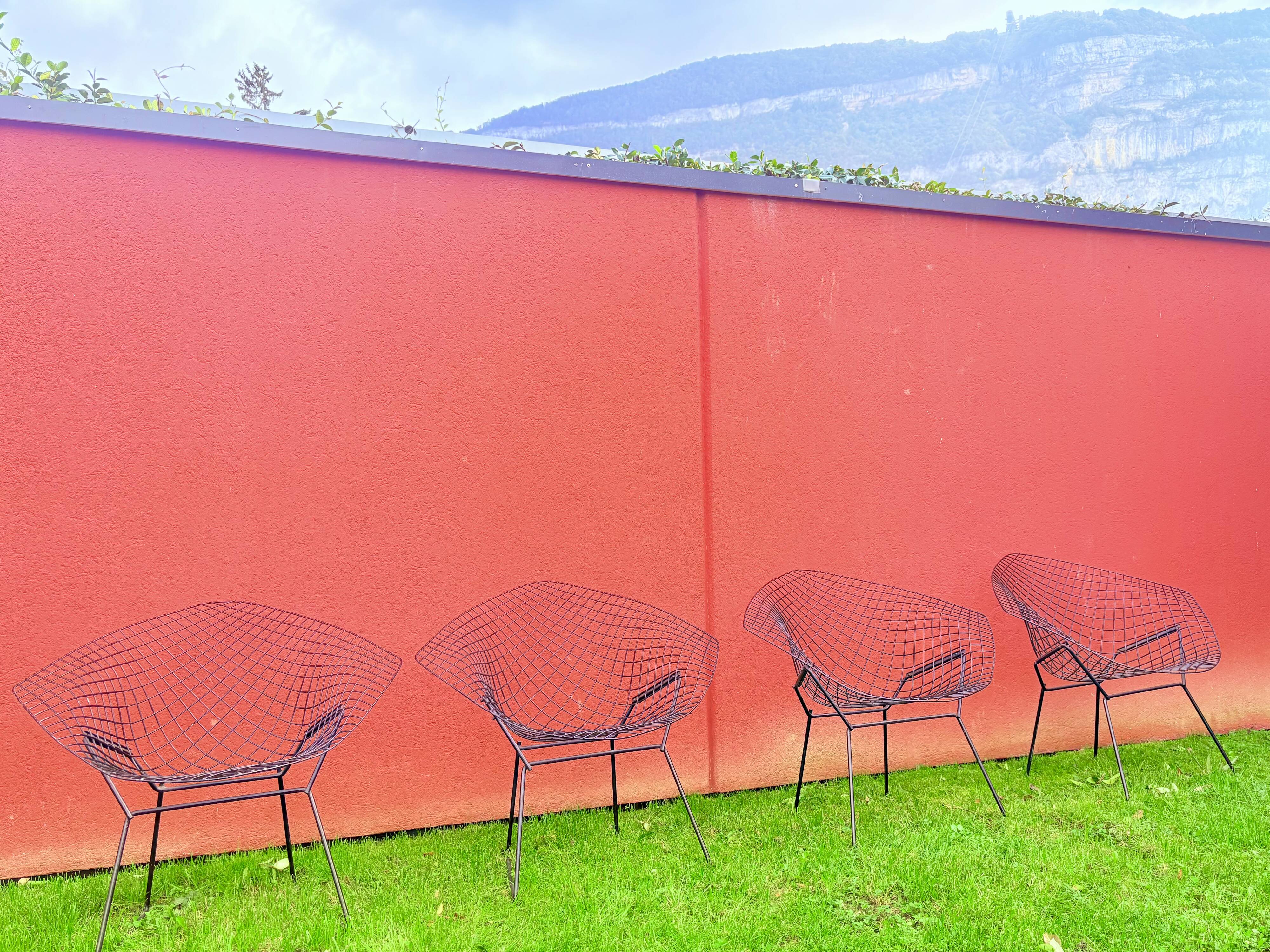 Bertoia chairs