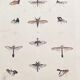 Affiche (lithographie) insectes volants