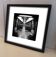 Photographie d'art contemporain