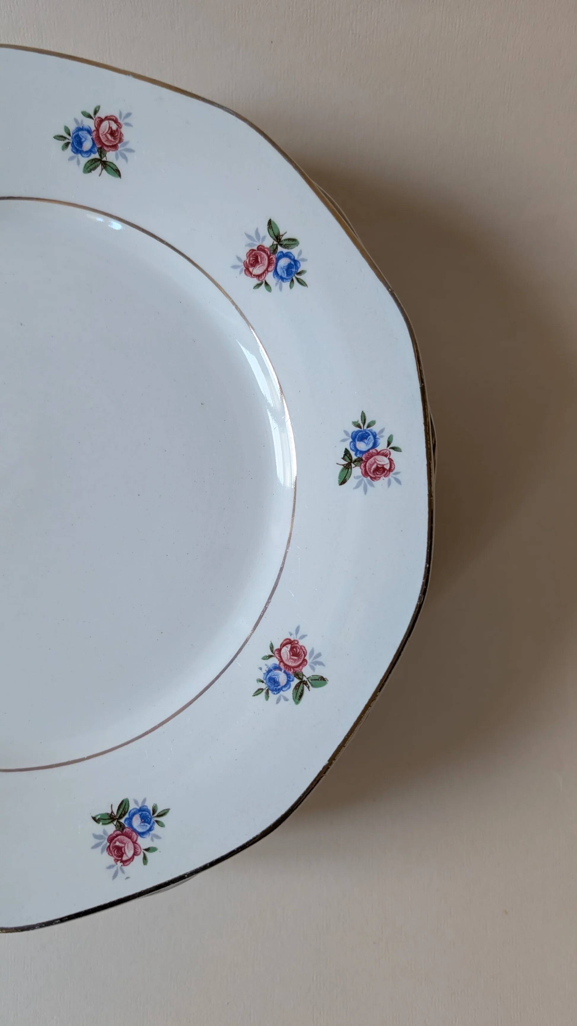 Set of 8 dinner plates – Digoin & Sarreguemines – Vintage floral design