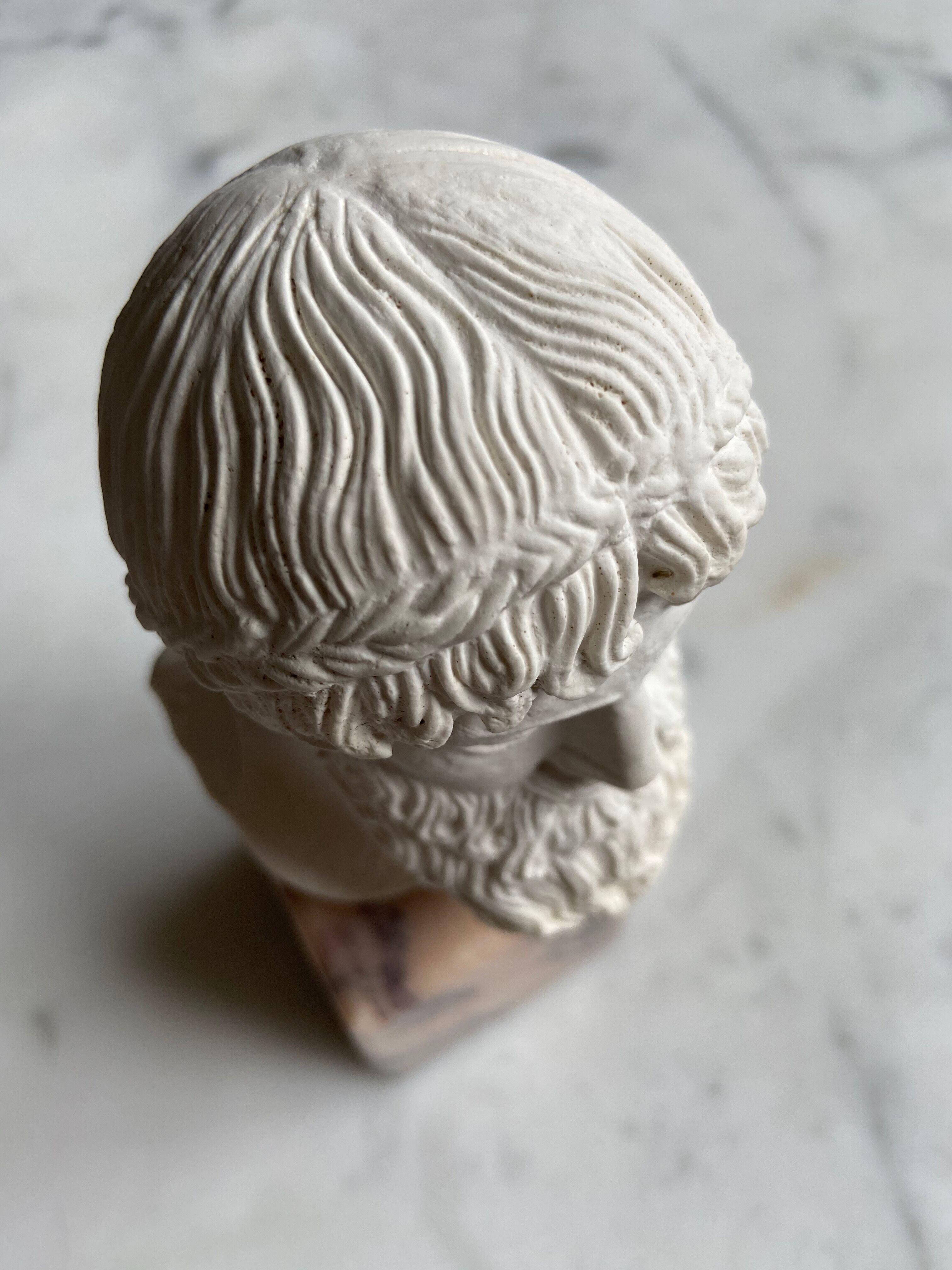 Bust of Zeus in plaster and marble