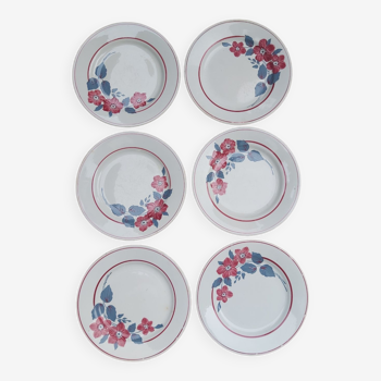 Earthenware plates