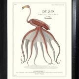 Lithograph engraving chimera animal, the cariapocampus 22x28 cm