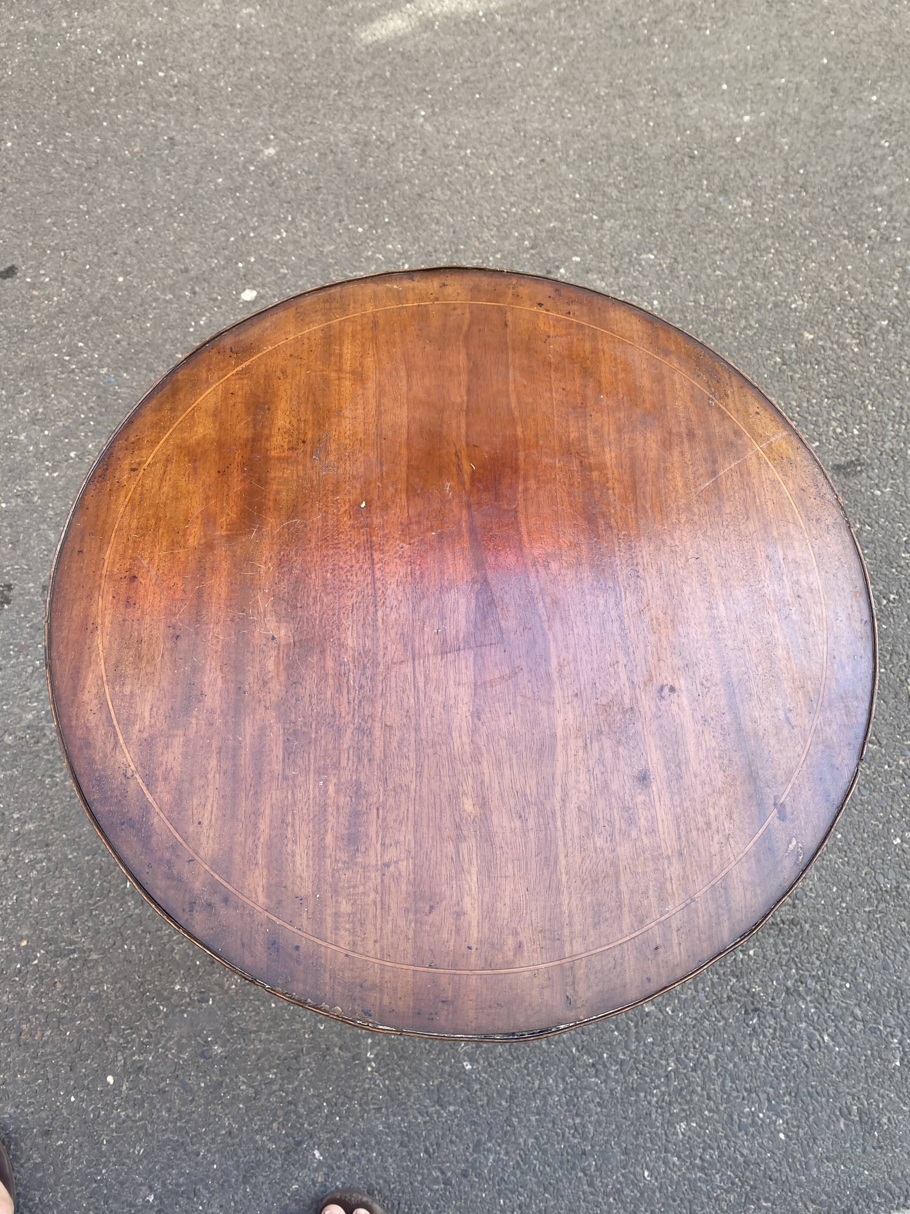 Guerin in marquetry