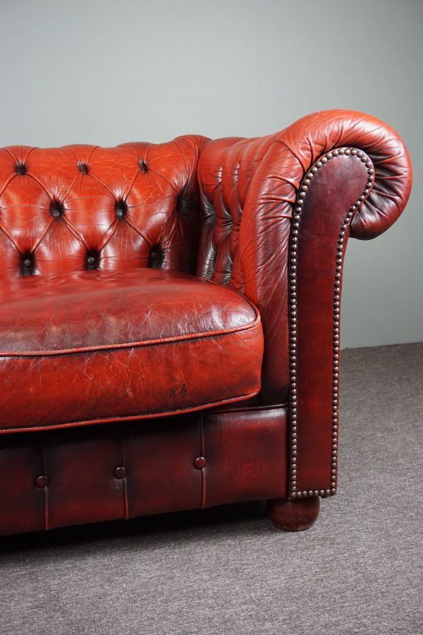 Chesterfield sofa 3 places in cowhide leather