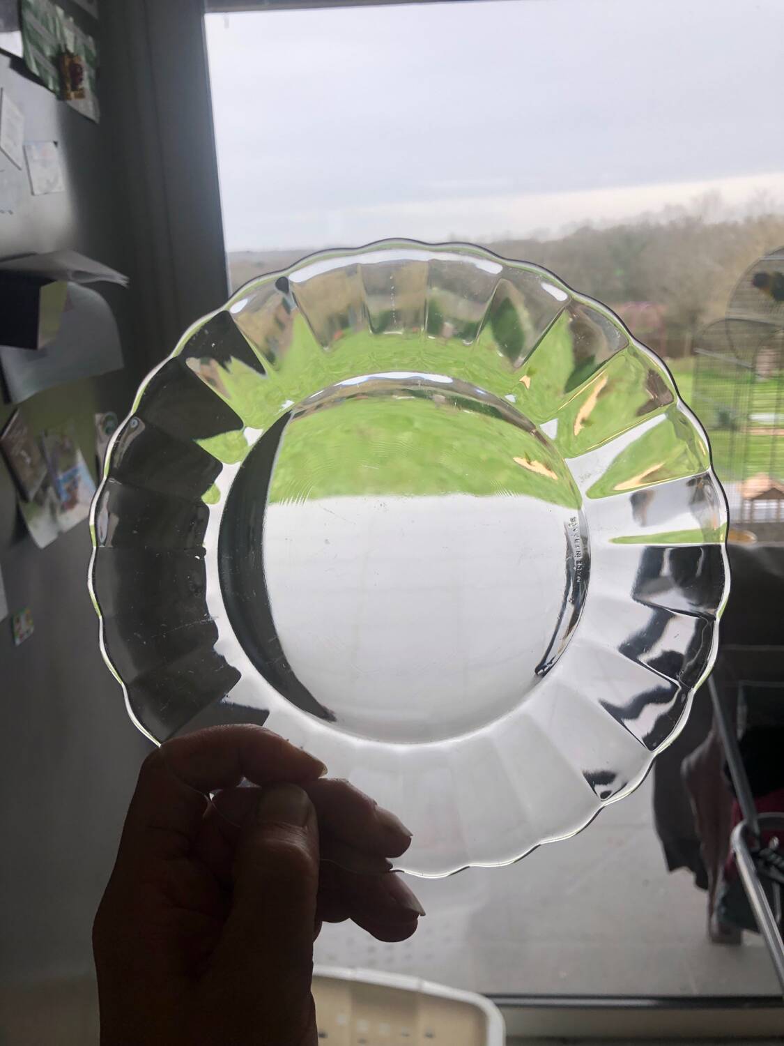 Duralex dessert plates in the shape of a daisy flower, transparent glass