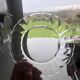 Duralex dessert plates in the shape of a daisy flower, transparent glass
