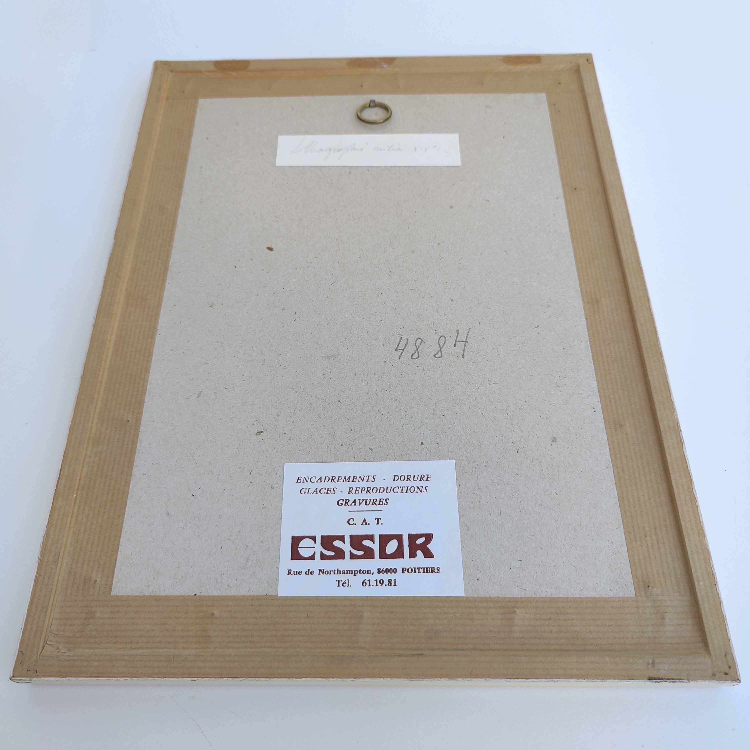 Lithograph botanical illustration pink wooden frame