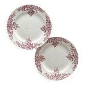 2 flat plates made of ironstone "Louis XV" Choisy le Roi