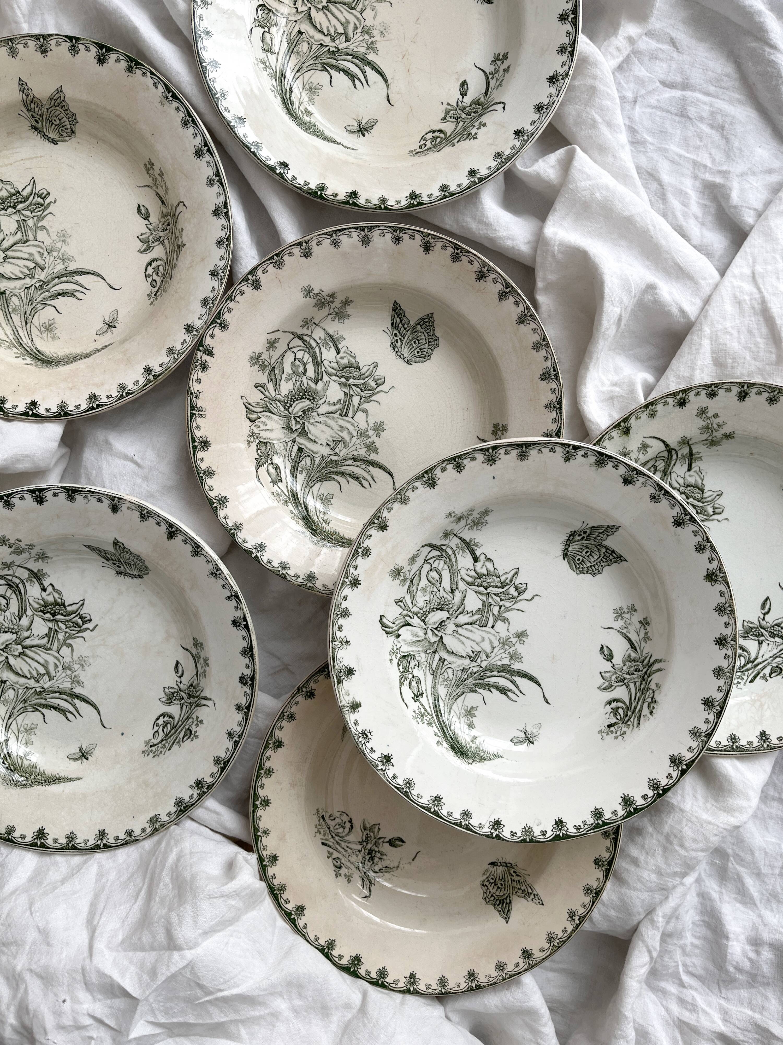 7 earthenware soup plates with butterfly and flower design "Nancy" LG Clairefontaine