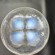 Rene lalique "shell n1"