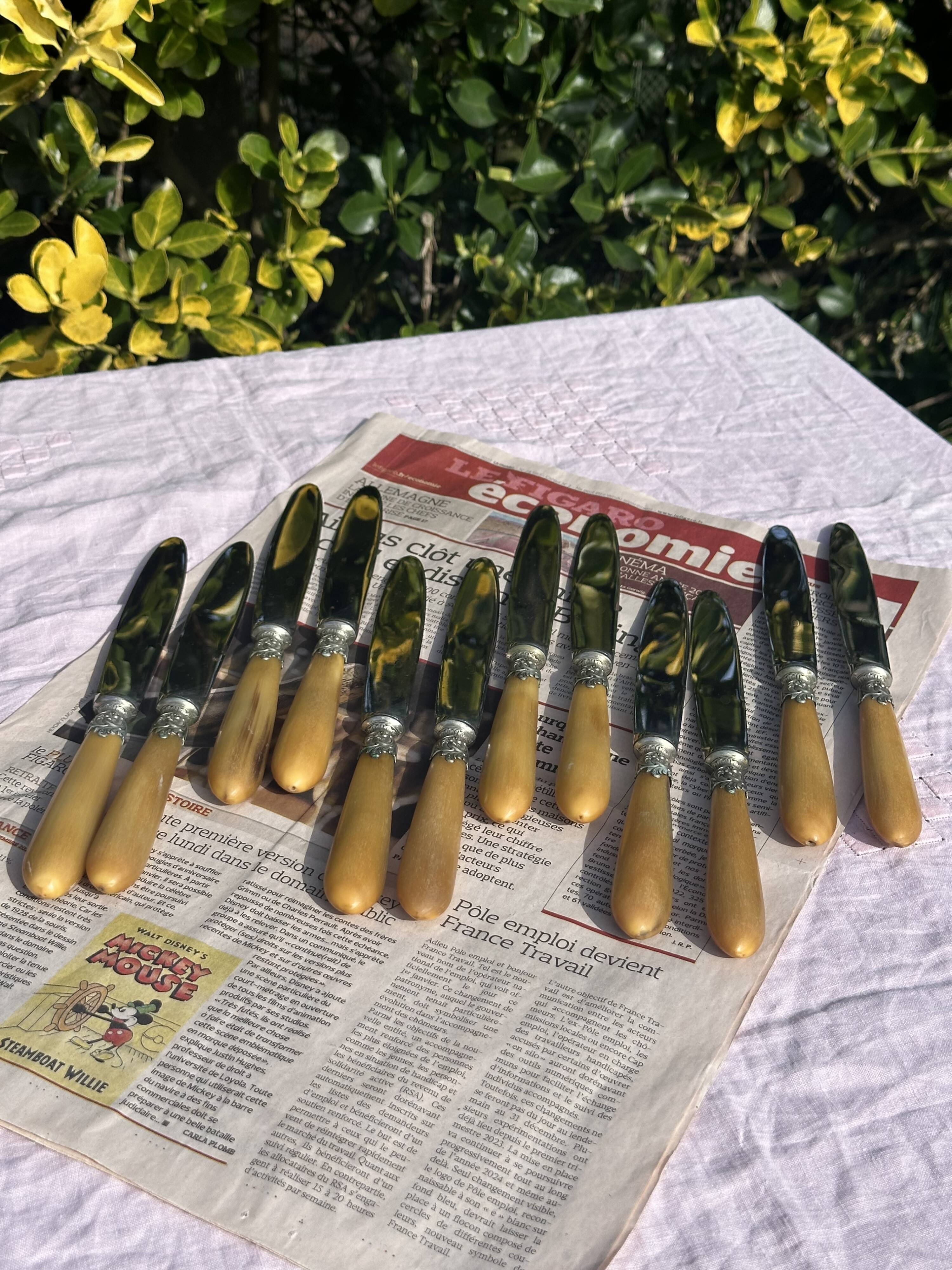 Set of 12 Antique Art Nouveau Table Knives - Tableware