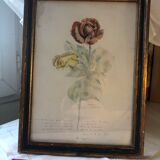 Deux roses entremélees signé Octave Matthey 1929