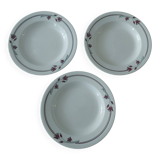 Salins E.Charbonnier half-soup plates, Athos decor, series of three years