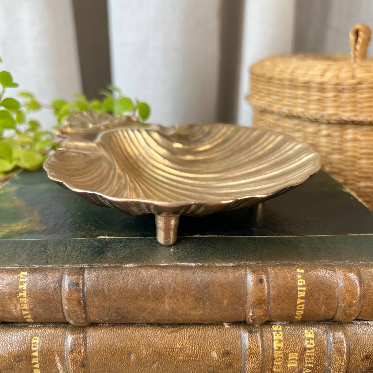 Scallop shell pocket in brass