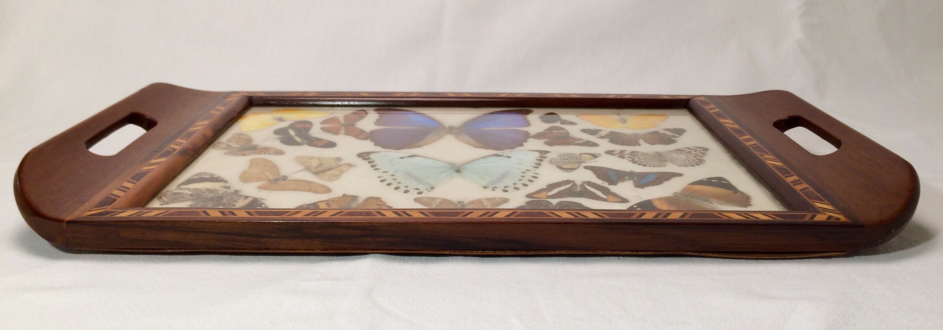 Real butterfly tray, 1940s