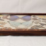 Real butterfly tray, 1940s