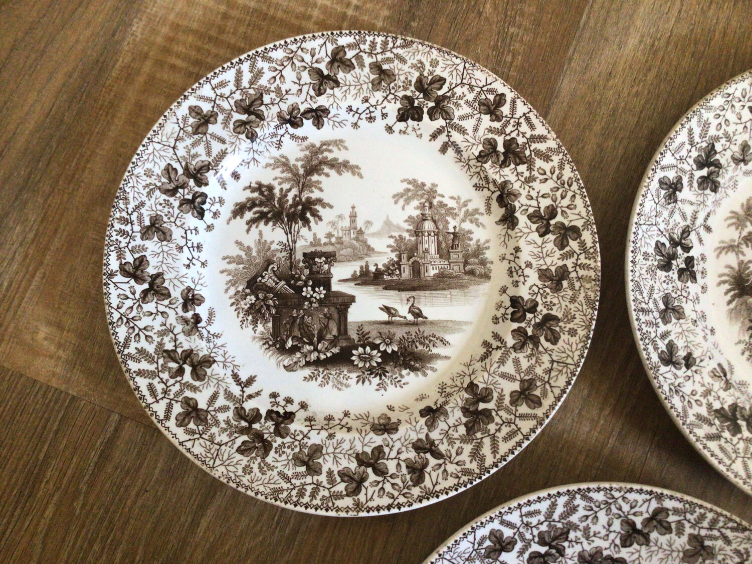 Set of 3 plates collection