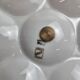 Servant Limoges Ribes – Gilded porcelain 6 shells