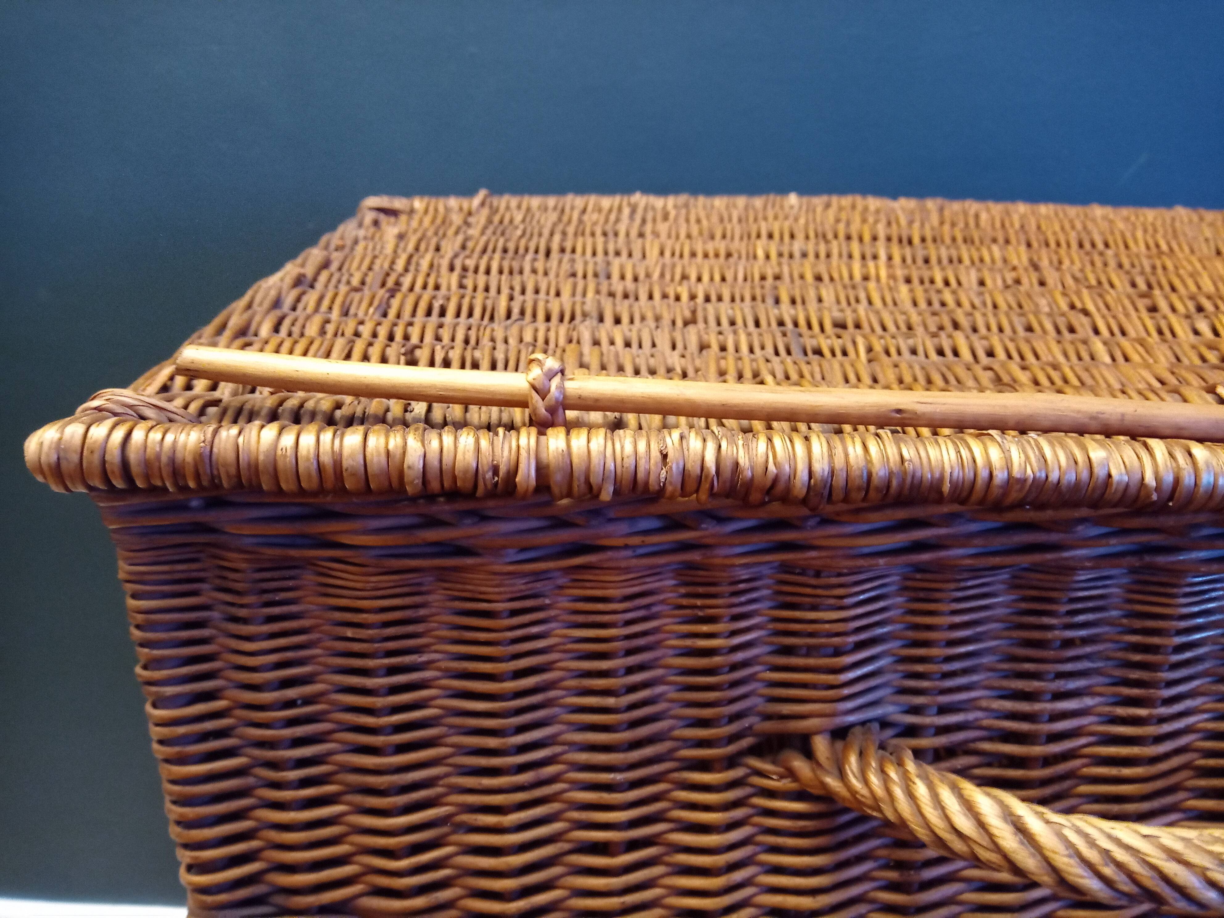 Wicker trunk