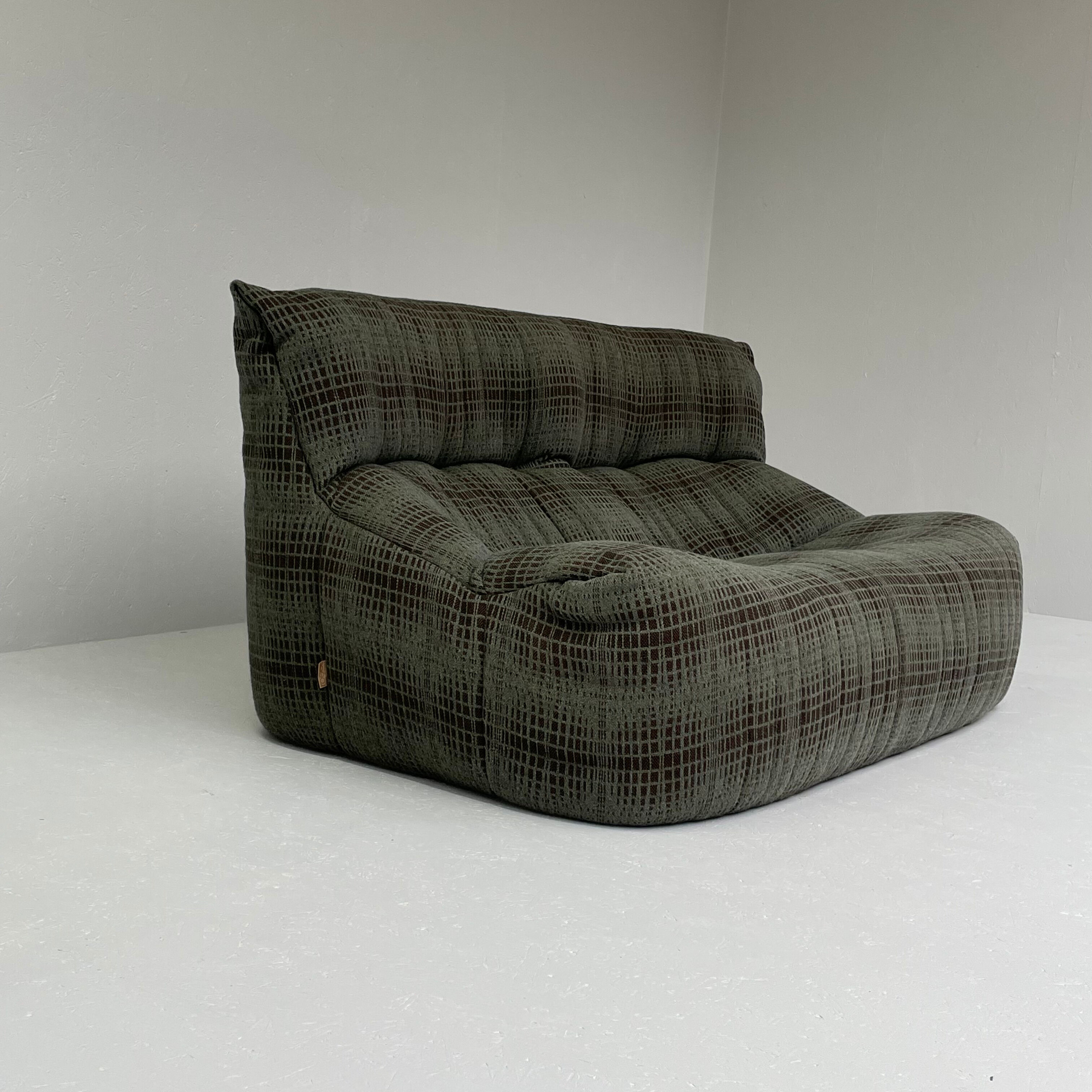 Aralia 2 seater sofa by Michel Ducaroy for Ligne Roset
