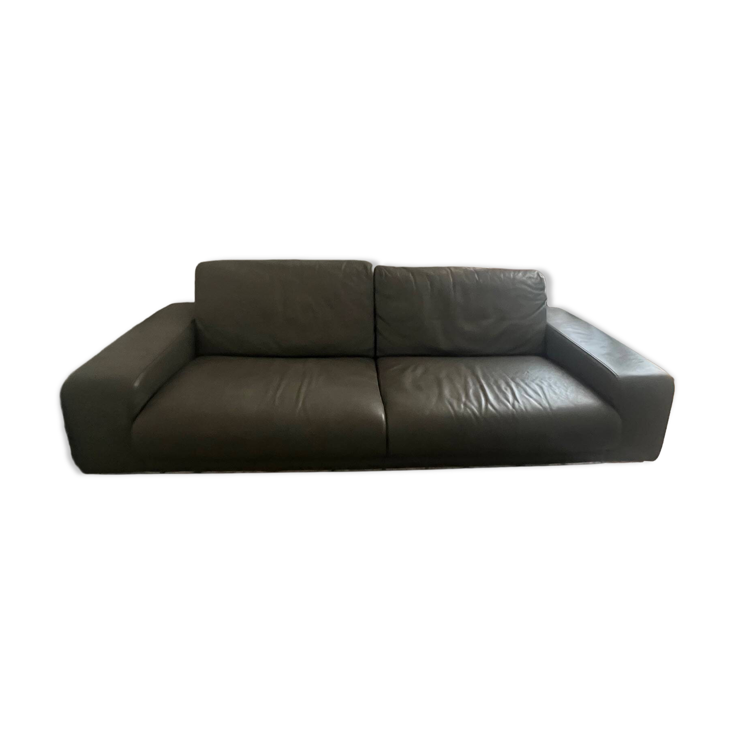 Roche Bobois sofa