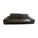 Roche Bobois sofa