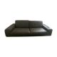 Roche Bobois sofa