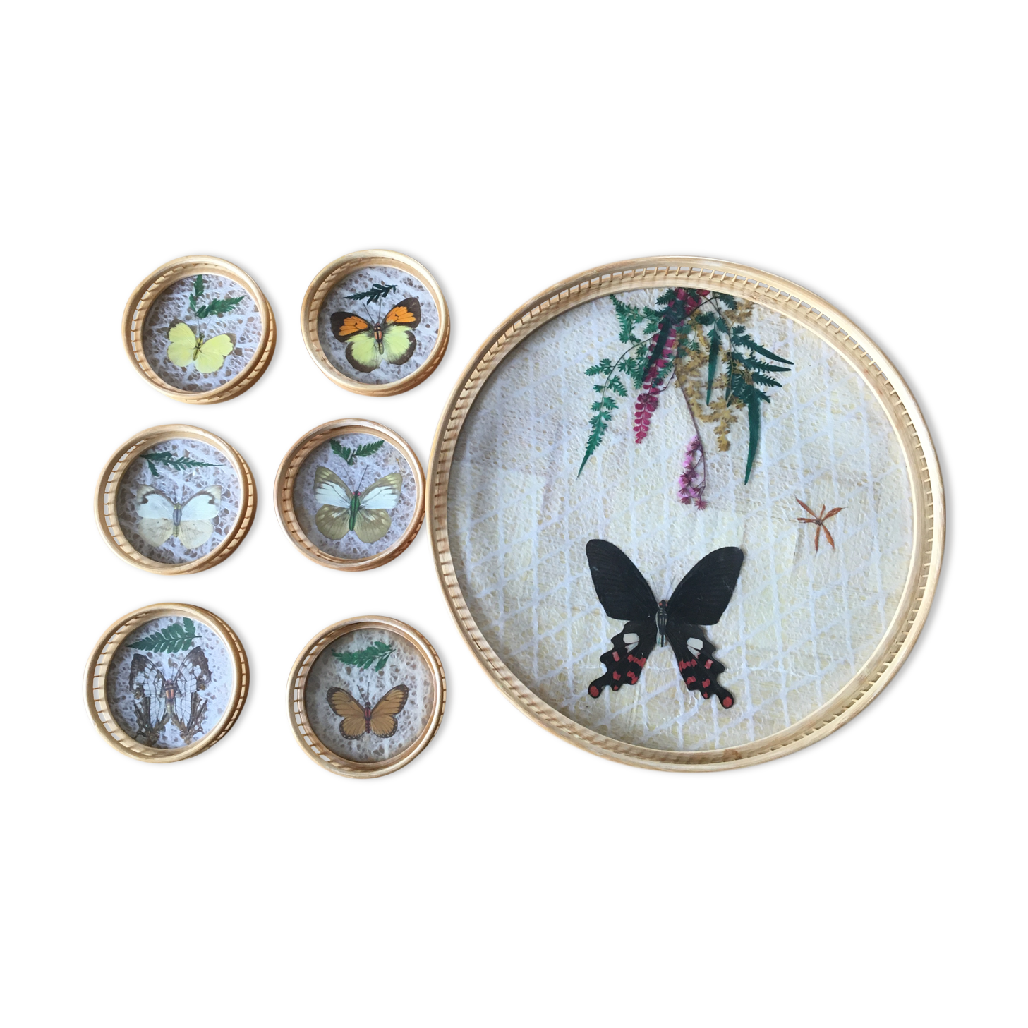 6 under glasses and its tray