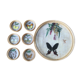 6 under glasses and its tray