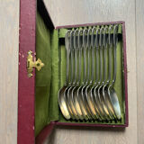 12 spoons in original box