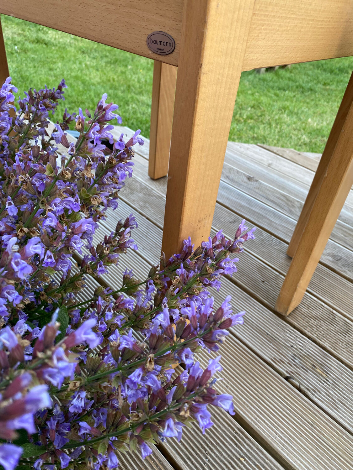 Duo de chaises Baumann