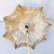 Old silk and carved ivory umbrella