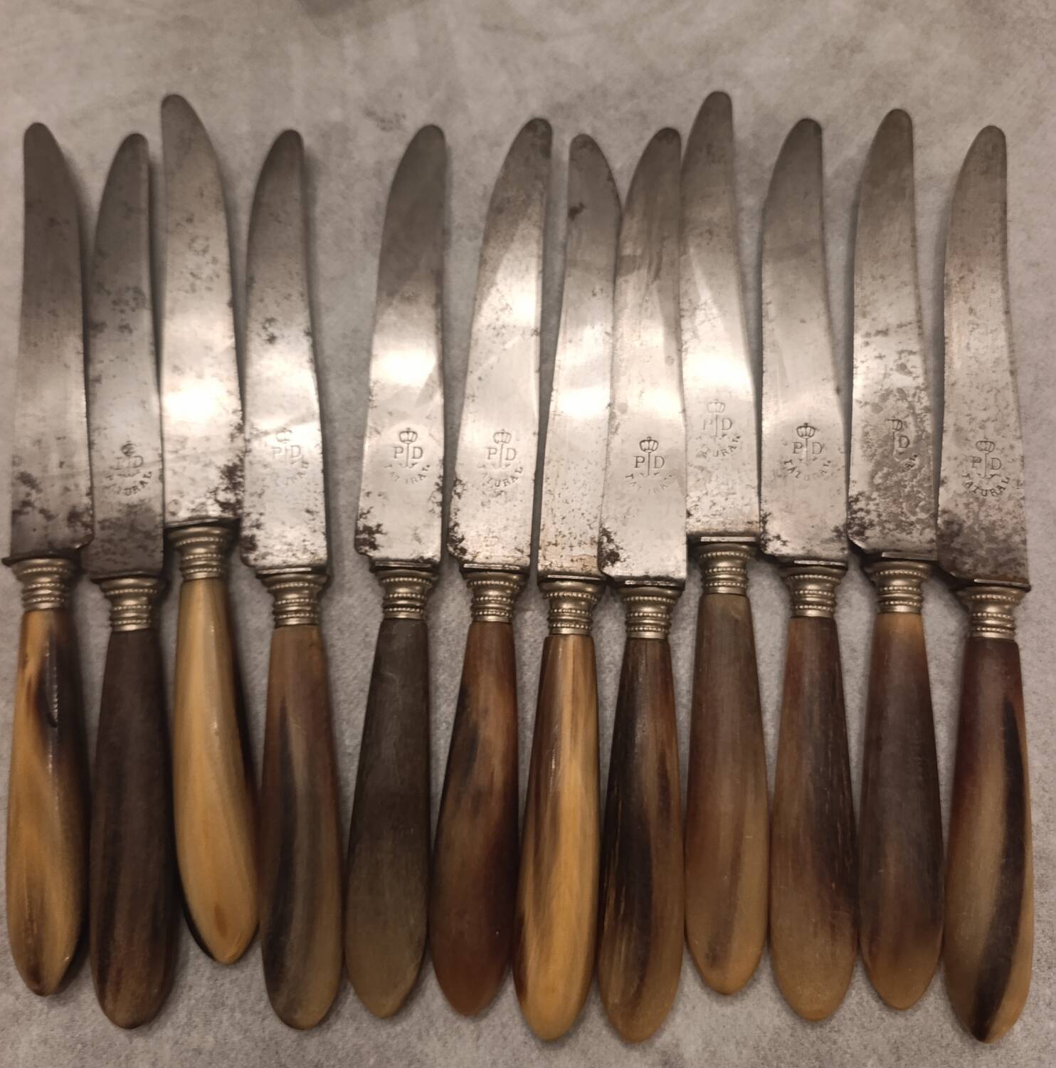 Knife with a horn handle