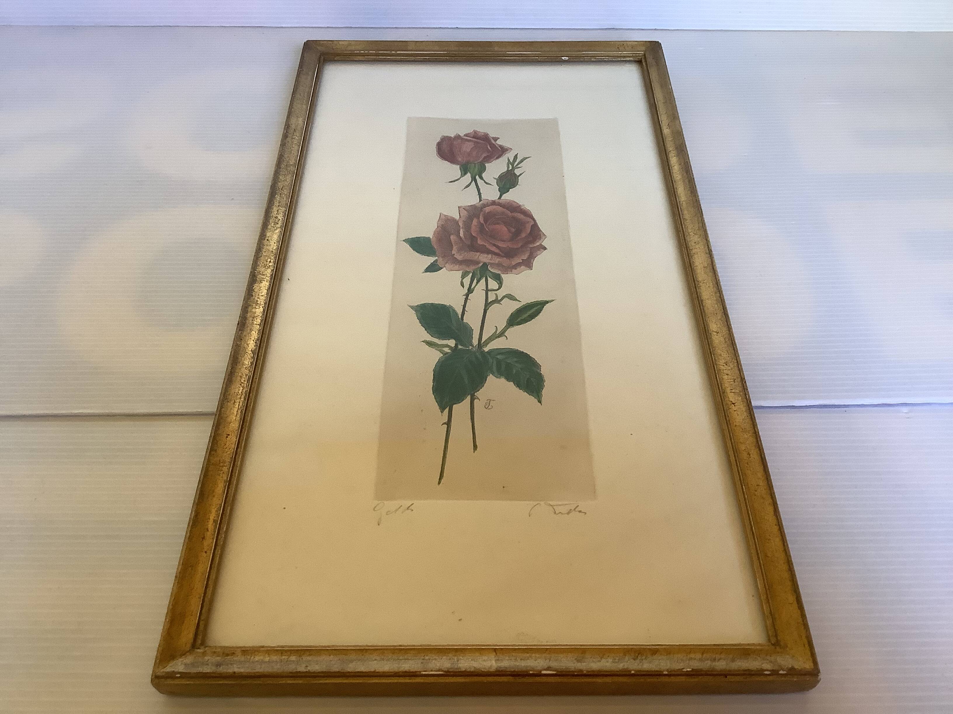 Pink rose flowers frame
